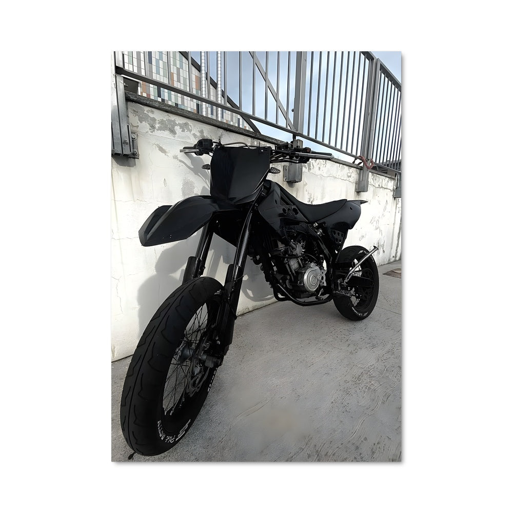 Poster Révolution Noire