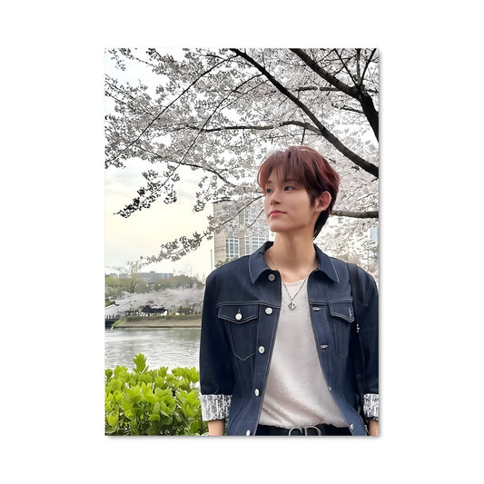 Poster Seowoo 11733