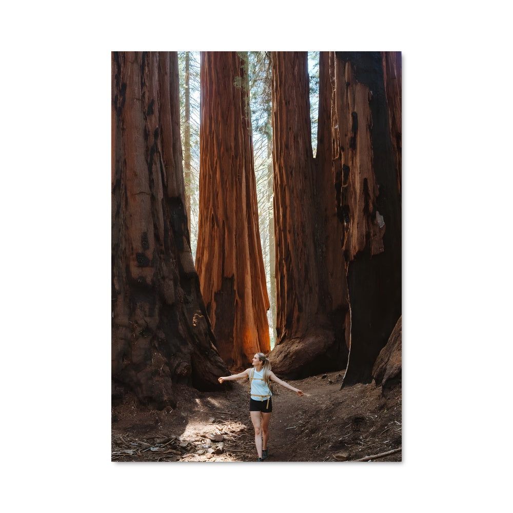 Poster La Force de la Nature