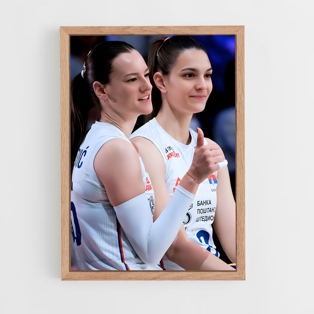 ap-serbia national volleyball team-2 cadre Bois clair