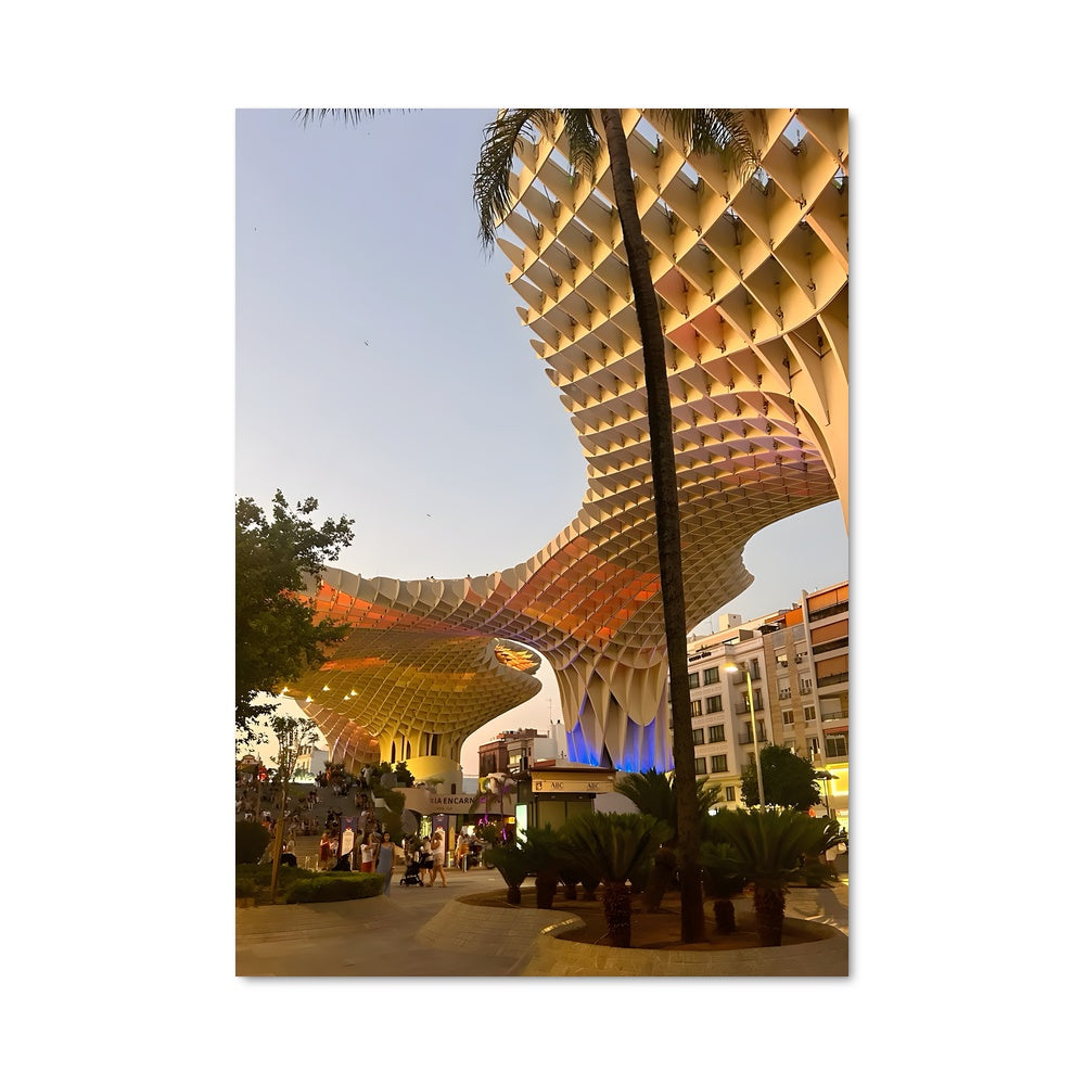 Poster Palmiers de Séville