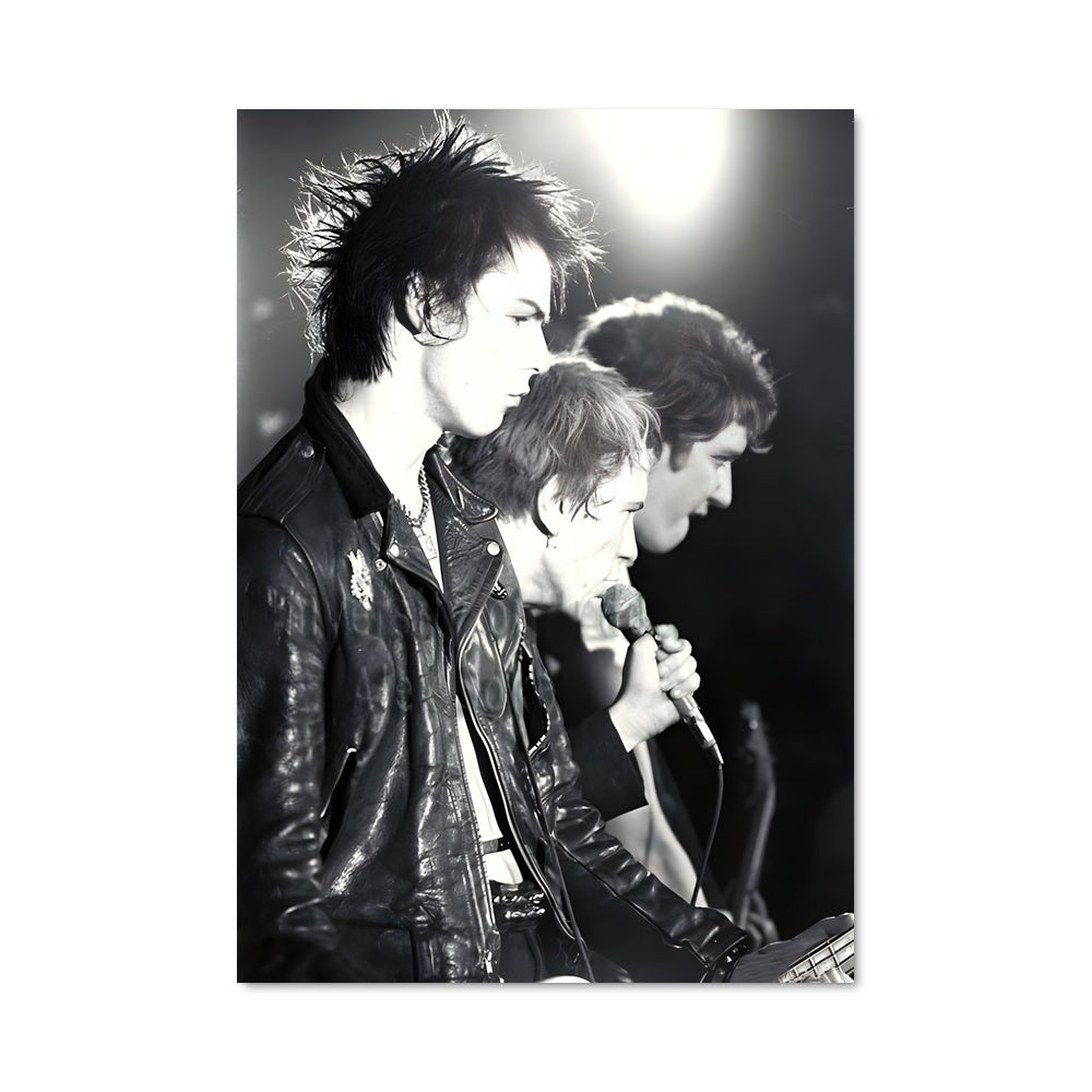Poster Sex pistols 56473