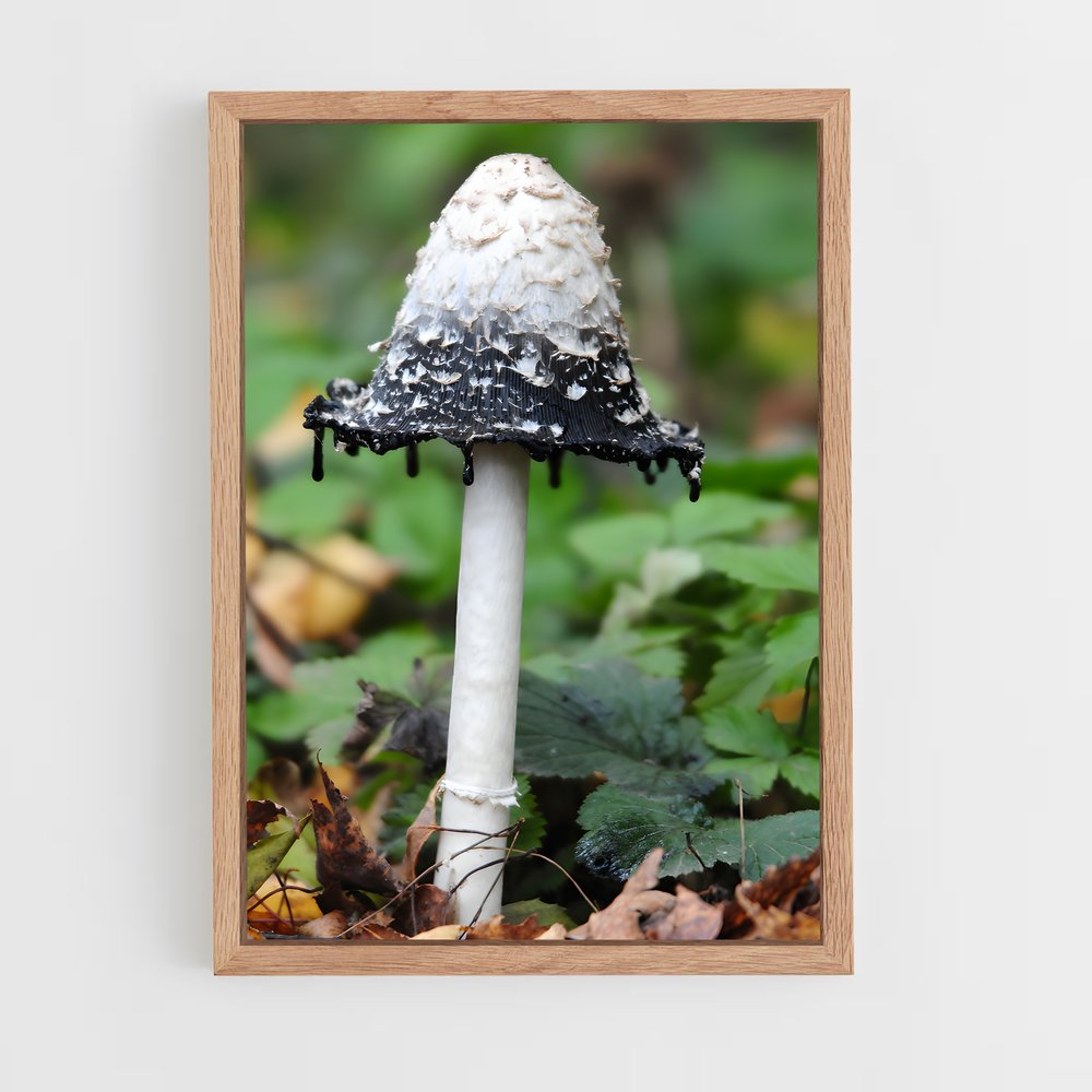 ap-shaggy ink cap-1 cadre Bois clair