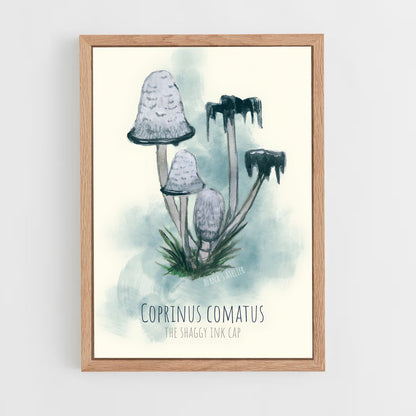 ap-shaggy ink cap-4 cadre Bois clair