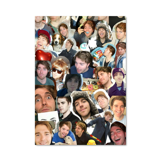 Poster Visages de Shane