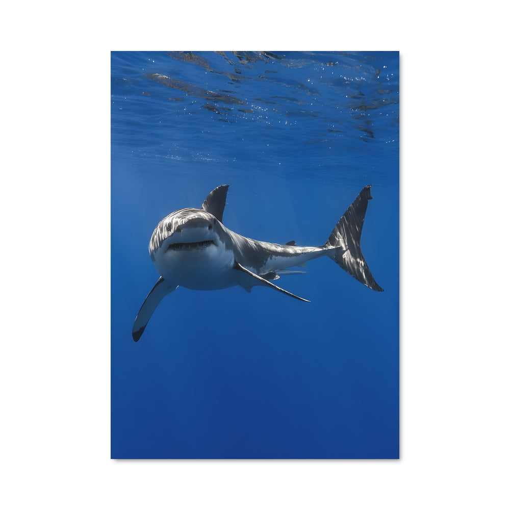 Poster Morsure Fatale