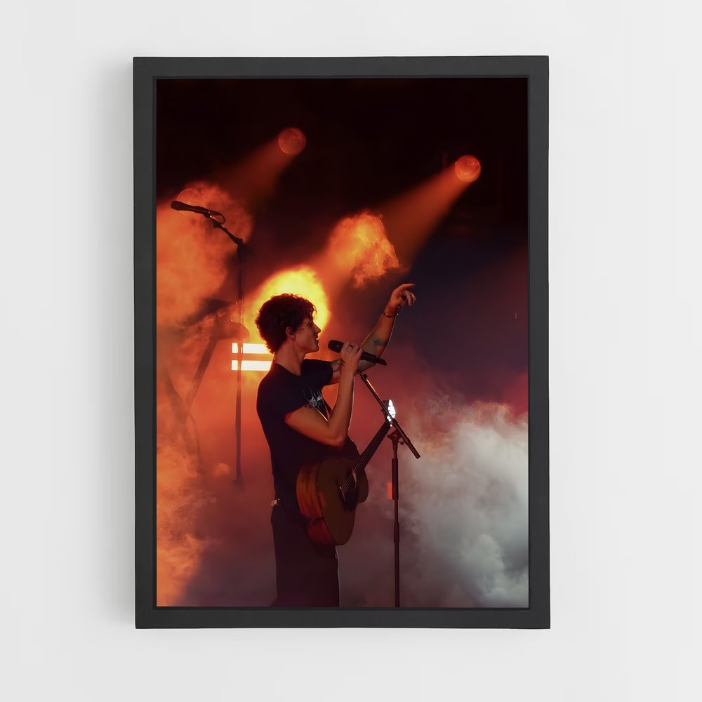 ap-shawn mendes-11 cadre Noir