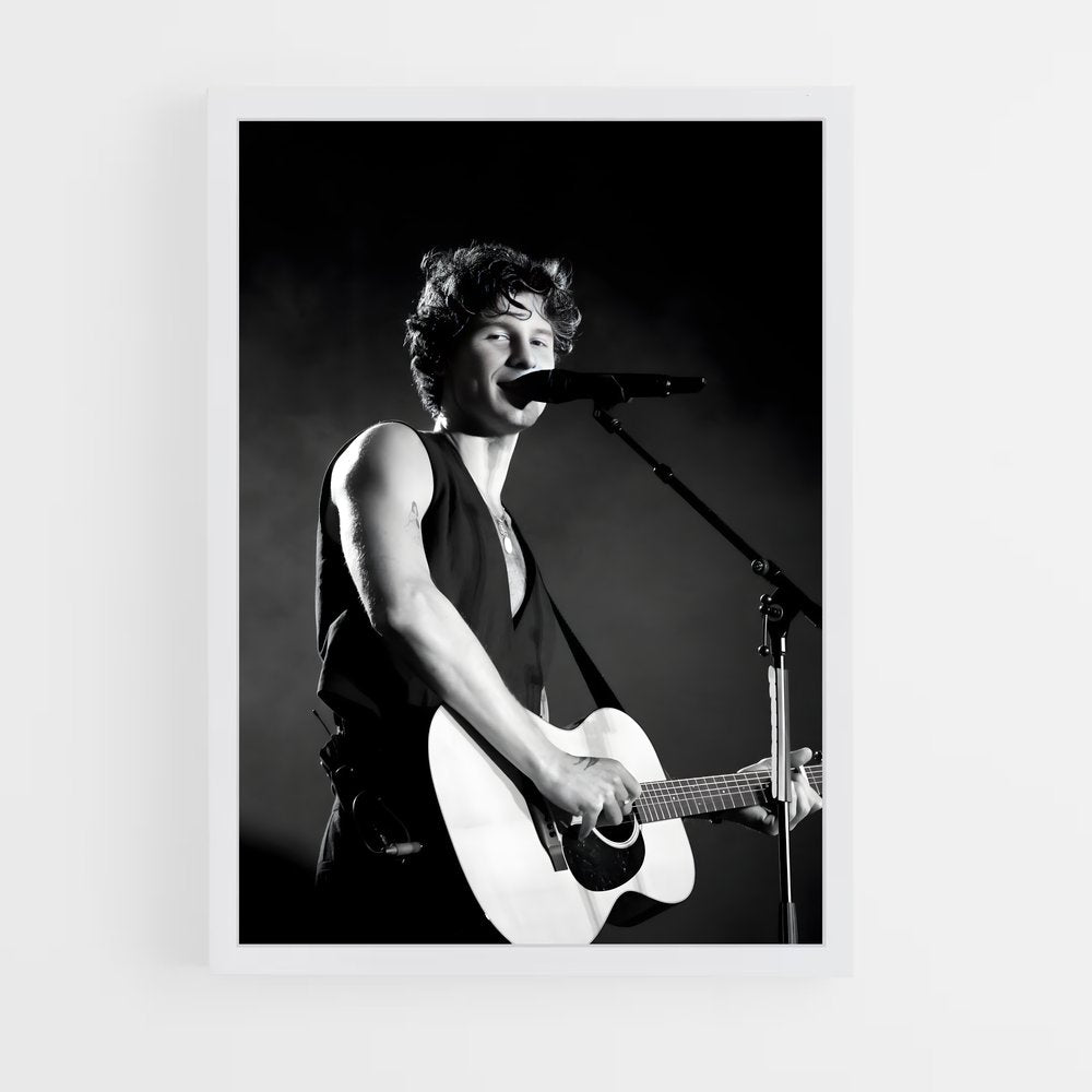 ap-shawn mendes-13 cadre Blanc