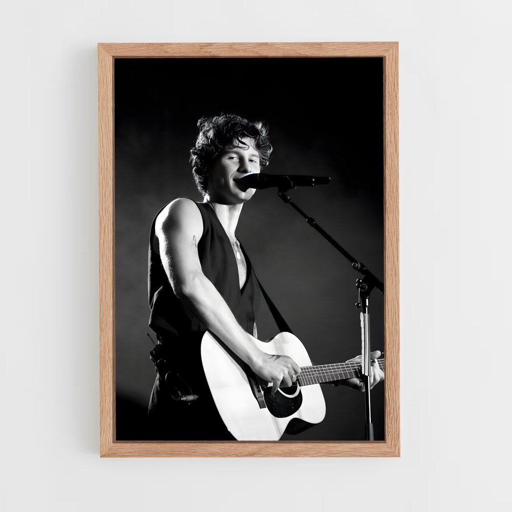ap-shawn mendes-13 cadre Bois clair