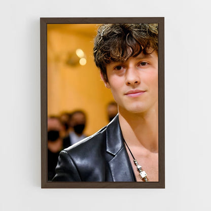 ap-shawn mendes-2 cadre Bois foncé