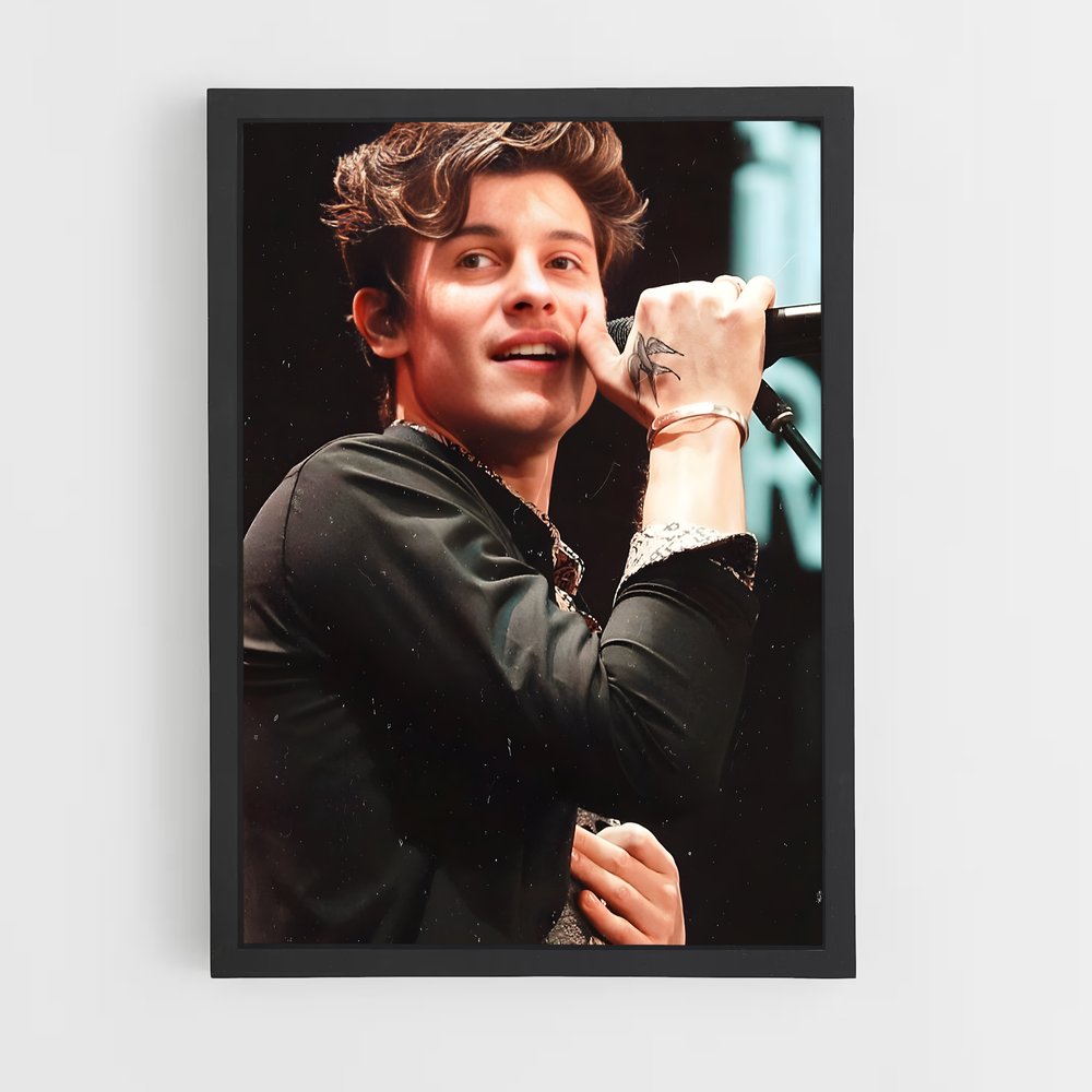 ap-shawn mendes-5 cadre Noir
