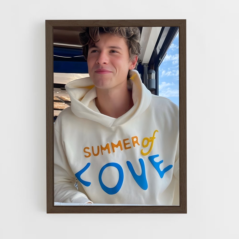 ap-shawn mendes-6 cadre Bois foncé