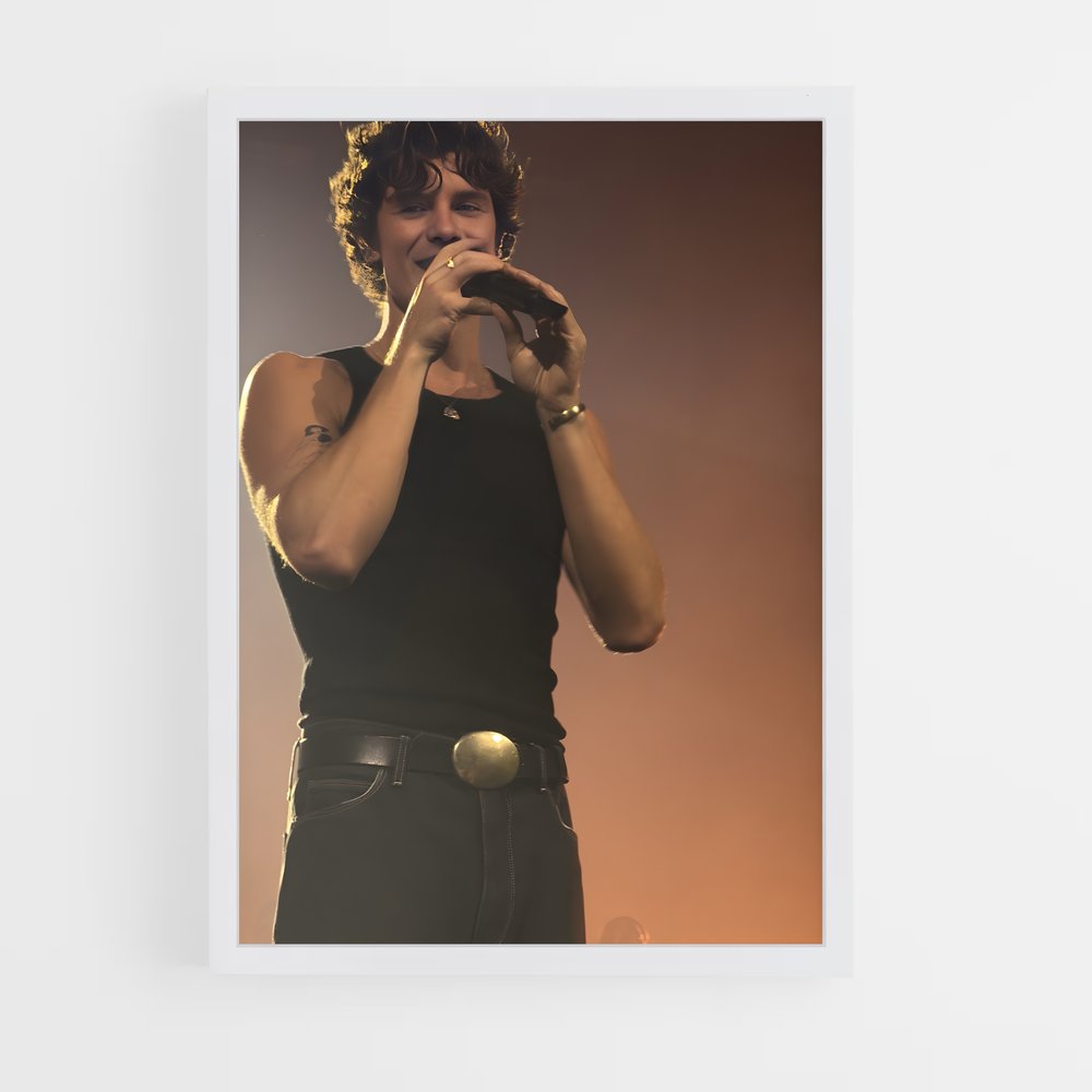 ap-shawn mendes-7 cadre Blanc