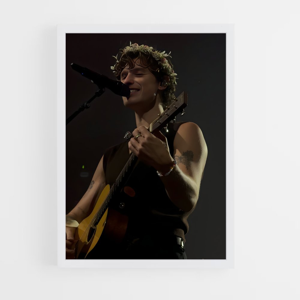 ap-shawn mendes-8 cadre Blanc