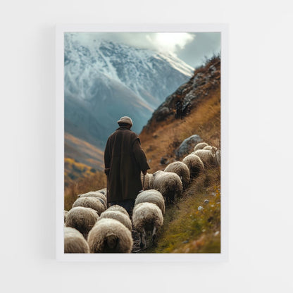 ap-sheep-5 cadre Blanc