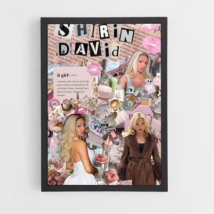 ap-shirin david-2 cadre Noir