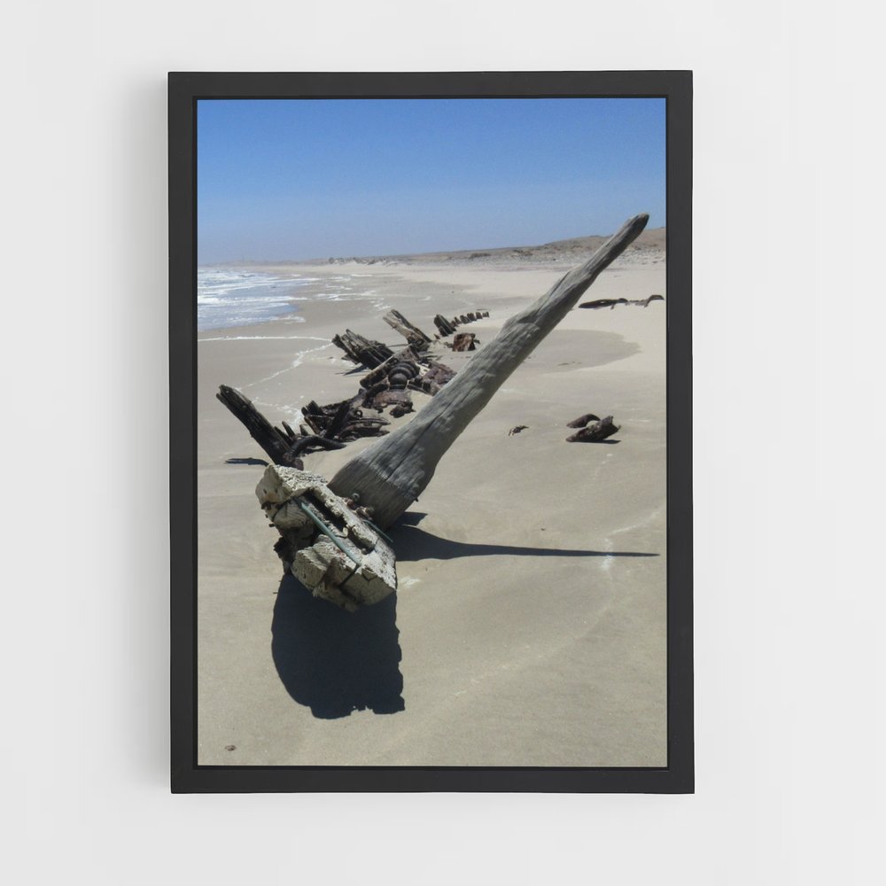ap-skeleton coast-3 cadre Noir
