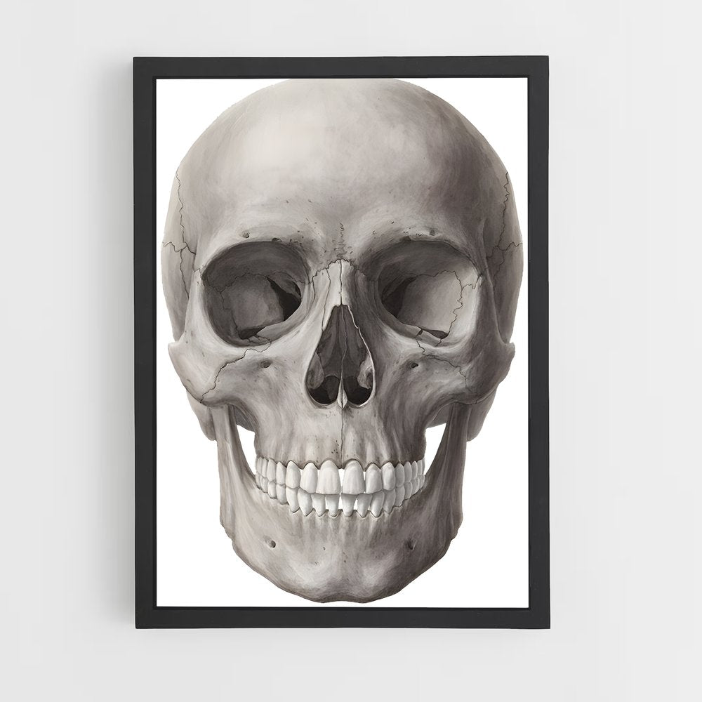 ap-skull-1 cadre Noir