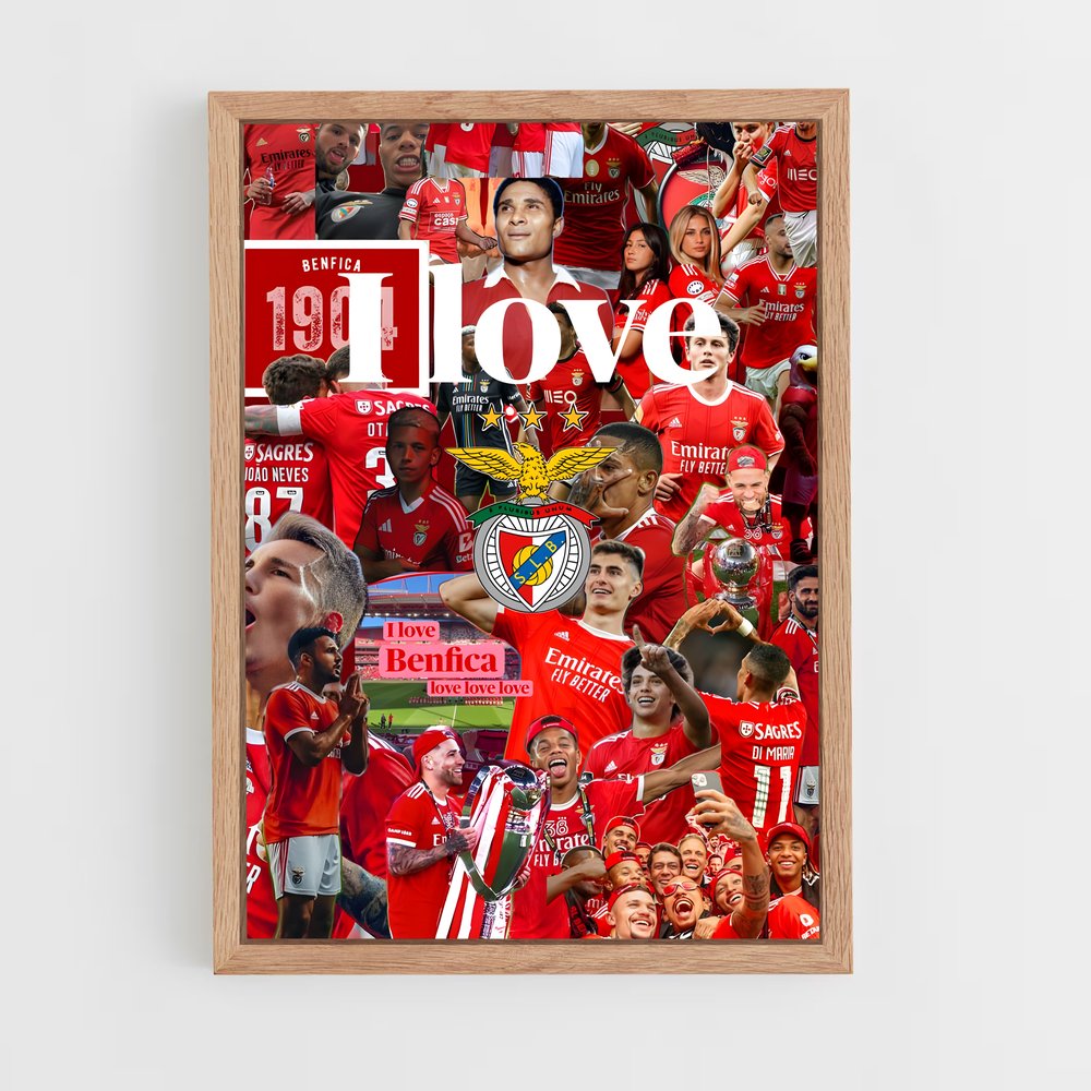 ap-sl benfica-18 cadre Bois clair