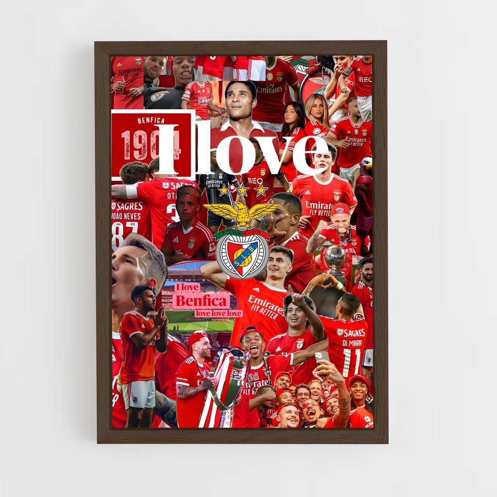ap-sl benfica-18 cadre Bois foncé