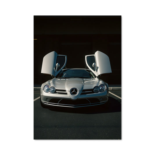 Poster L'Art du Stationnement