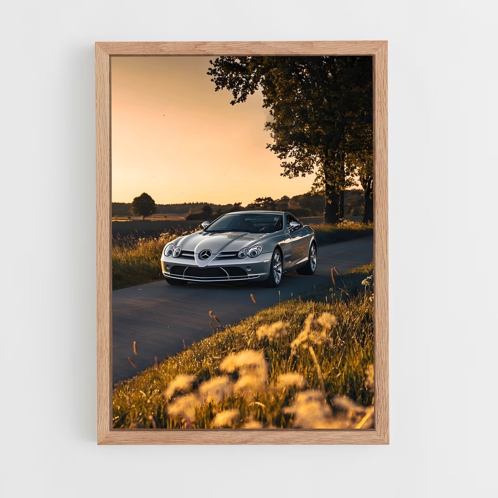 ap-slr mclaren-2 cadre Bois clair