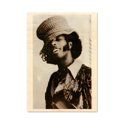 Poster Sly stone 46206