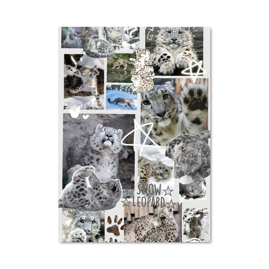 Poster Ombres des Neiges