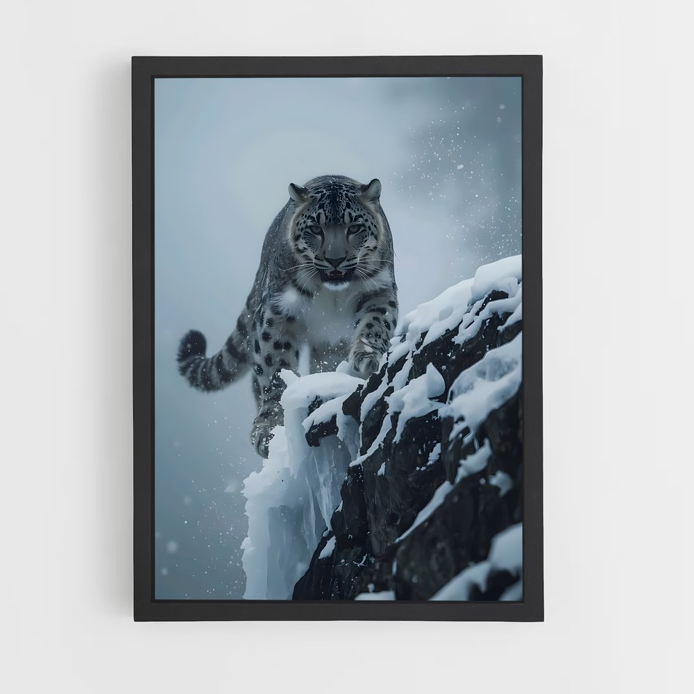 ap-snow leopard-5 cadre Noir