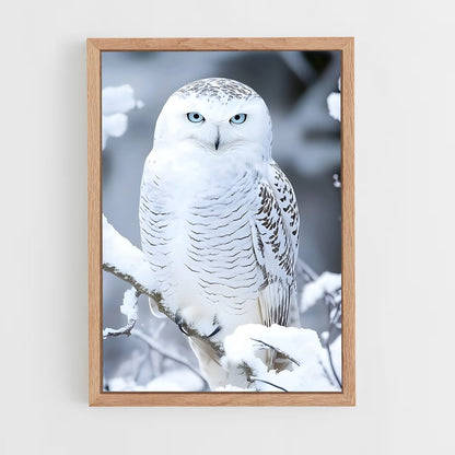 ap-snowy owl-1 cadre Bois clair