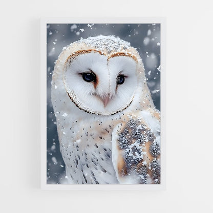 ap-snowy owl-10 cadre Blanc