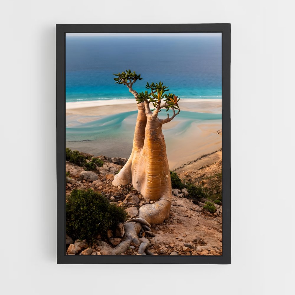 ap-socotra island-2 cadre Noir