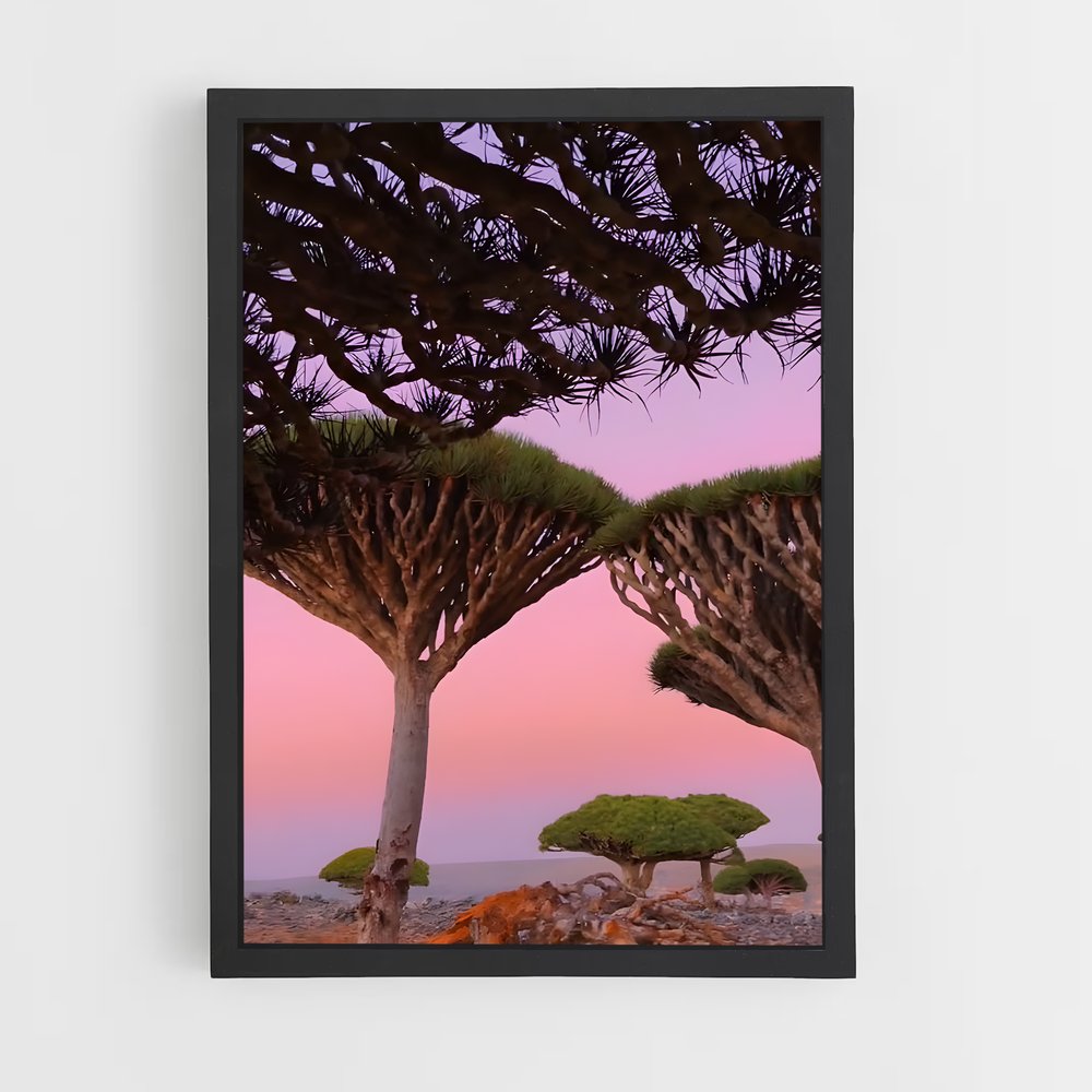 ap-socotra island-3 cadre Noir