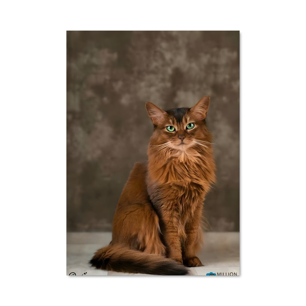 Poster Un Chat Épicé