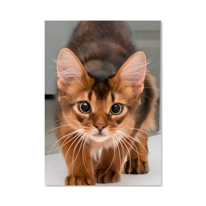 Poster Petit Regard