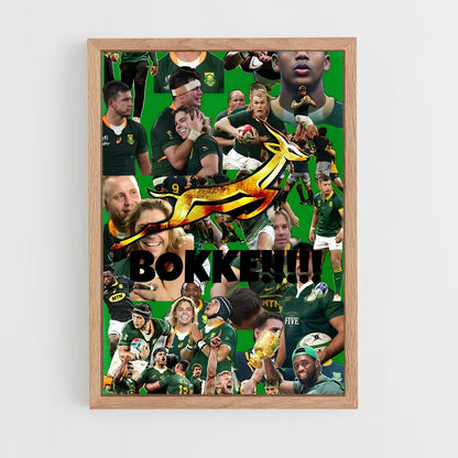 ap-south africa springboks-1 cadre Bois clair