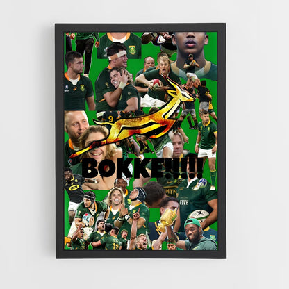 ap-south africa springboks-1 cadre Noir