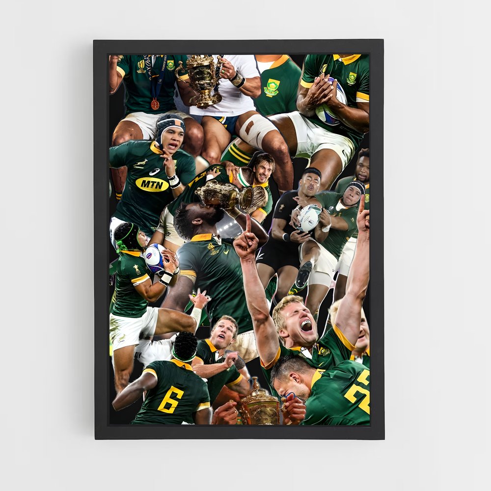 ap-south africa springboks-2 cadre Noir