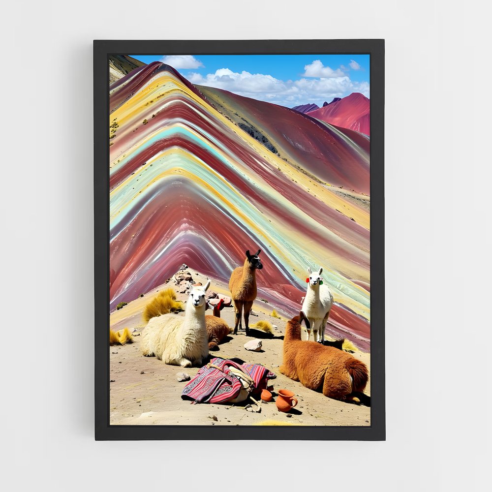 ap-south america-5 cadre Noir