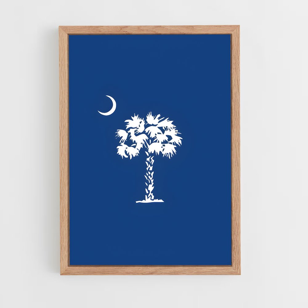ap-south carolina flag-1 cadre Bois clair