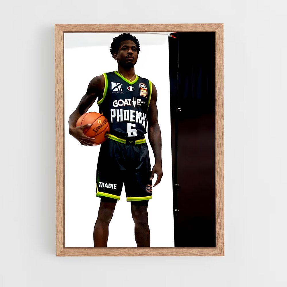 ap-south east melbourne phoenix basketball-1 cadre Bois clair