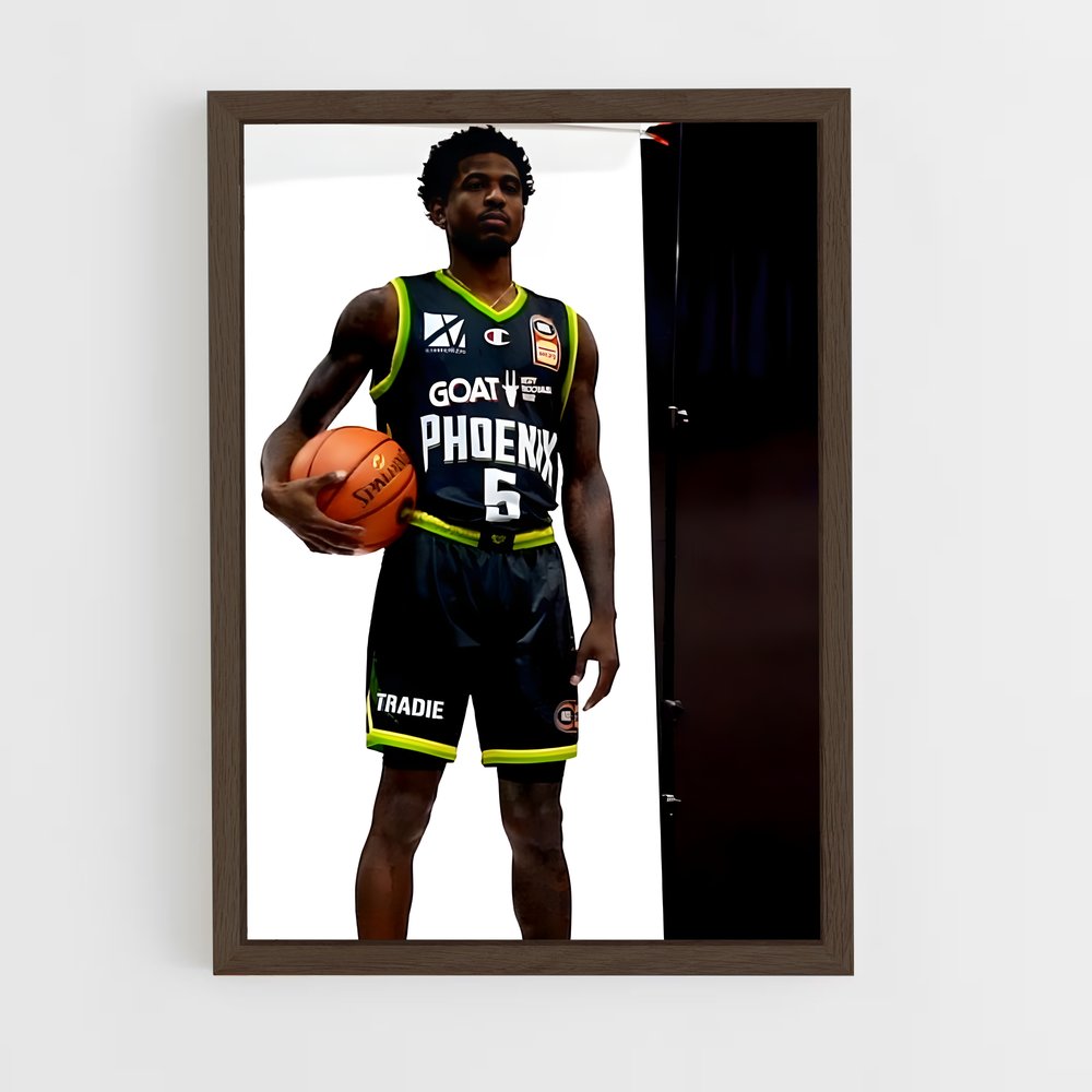 ap-south east melbourne phoenix basketball-1 cadre Bois foncé