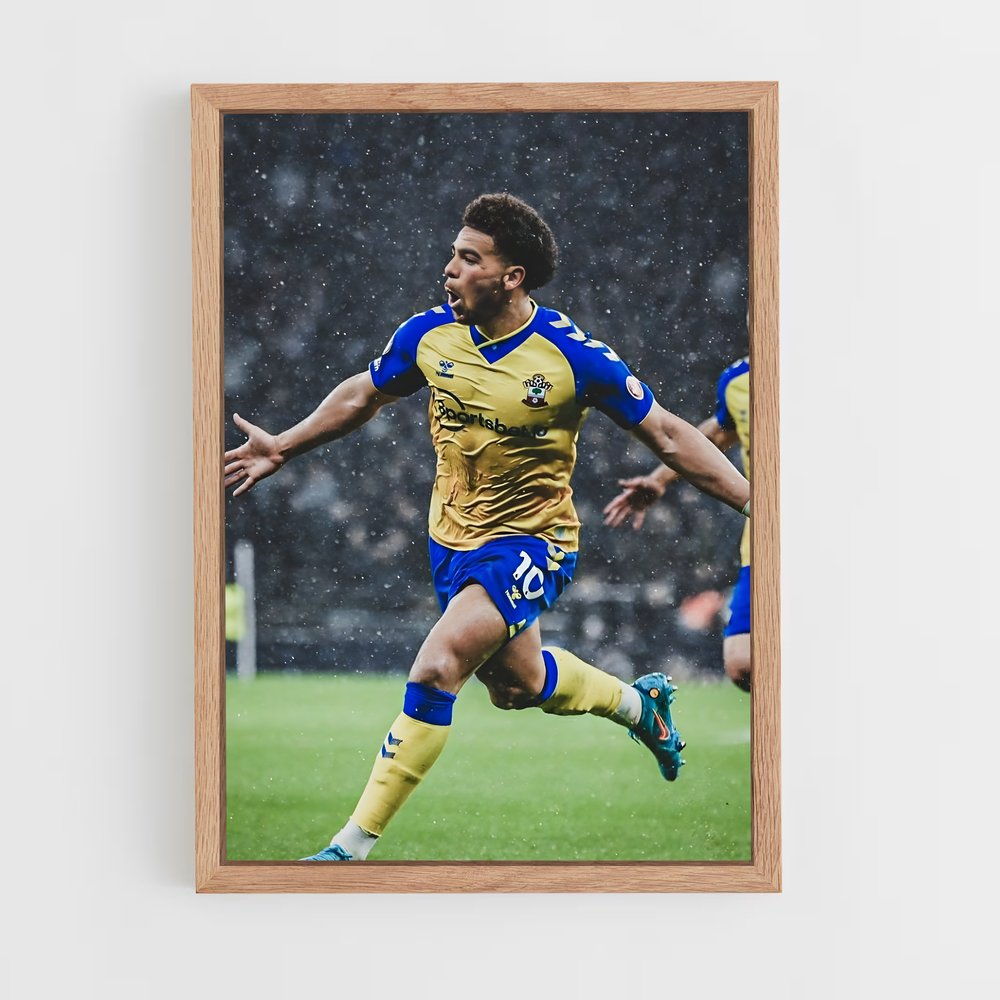 ap-southampton fc-10 cadre Bois clair