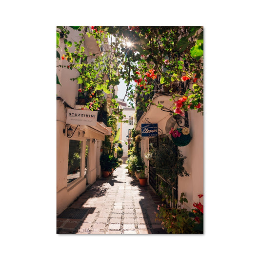 Poster Ruelle Andalouse