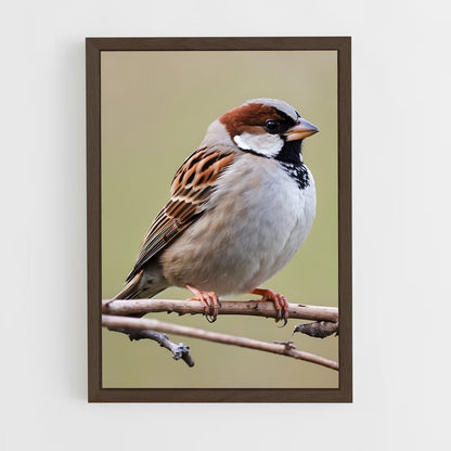 ap-sparrow-3 cadre Bois foncé
