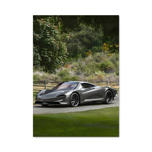 Poster Visionnaire Speedtail