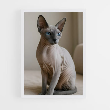 ap-sphynx-1 cadre Blanc
