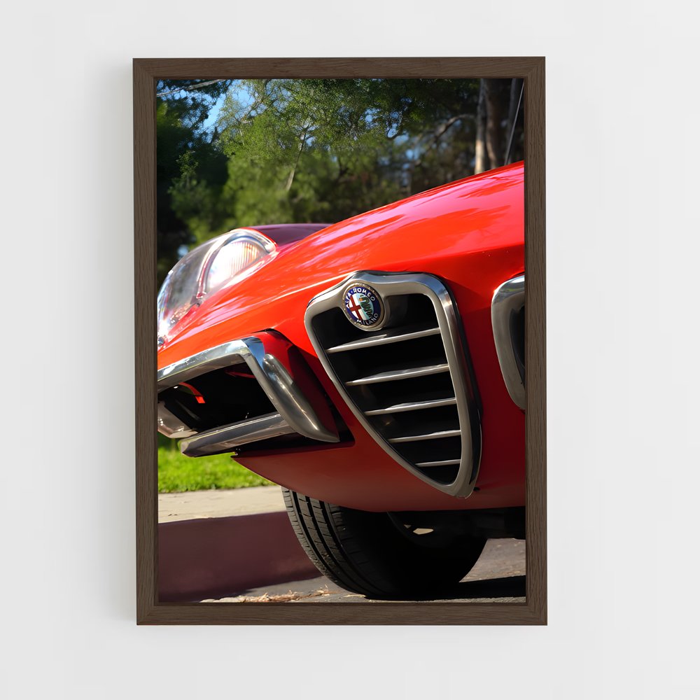 ap-spider veloce-1 cadre Bois foncé
