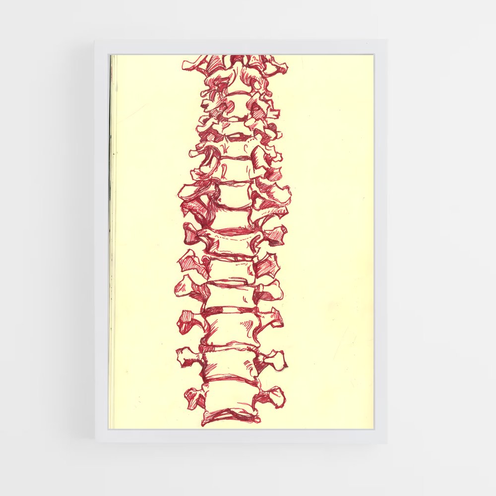 ap-spine-4 cadre Blanc
