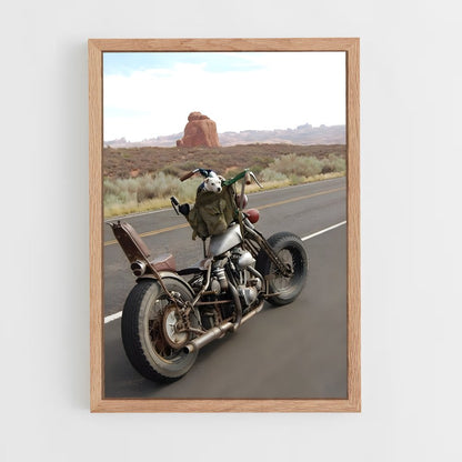 ap-sportster-1 cadre Bois clair